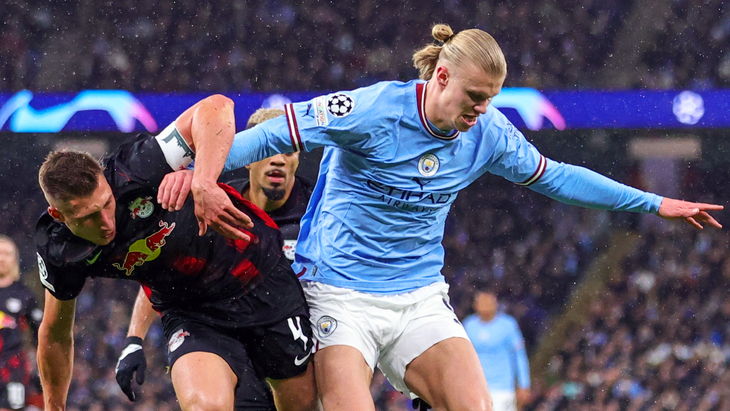 Эрлинг Холанн