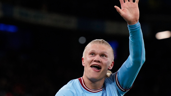 Эрлинг Холанн