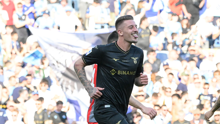 Сергей Милинкович-Савич