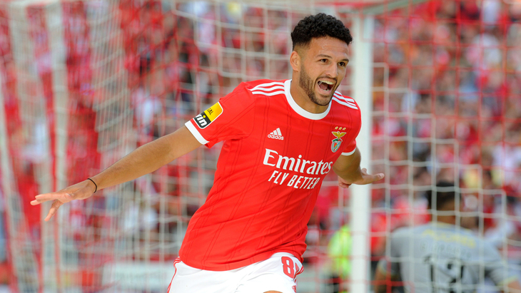 Гонсалу Рамуш