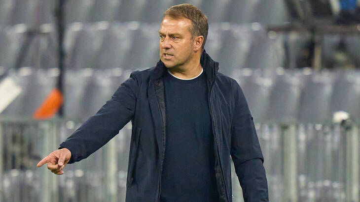 Ханс-Дитер Флик