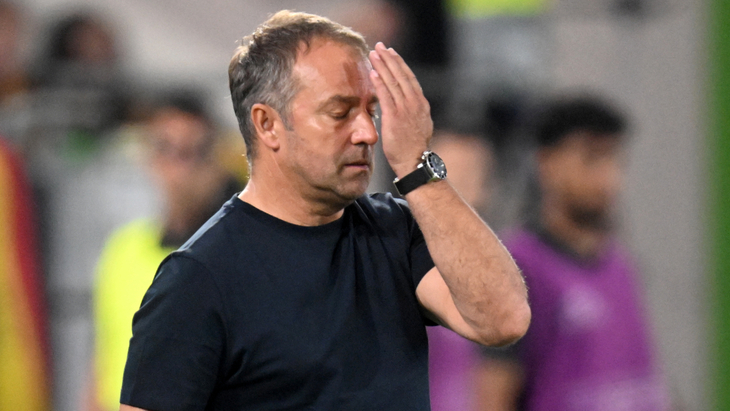 Ханс-Дитер Флик