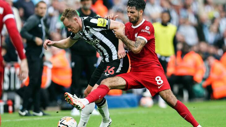 Доминик Собослаи