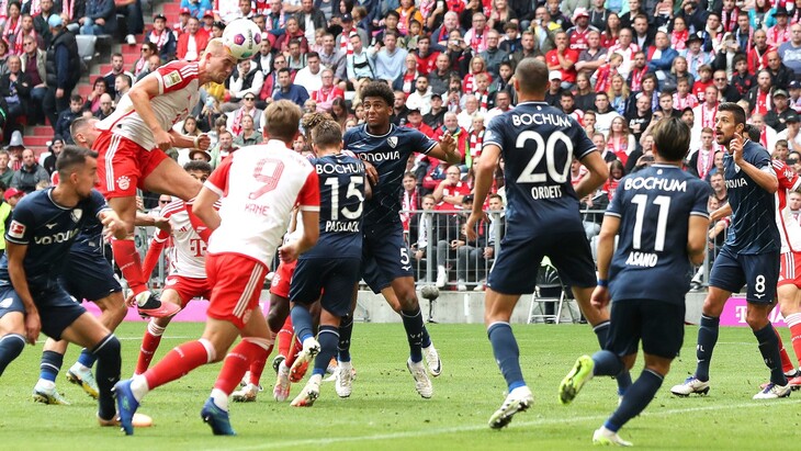 «Бавария» — «Бохум». Сезон 2023/2024