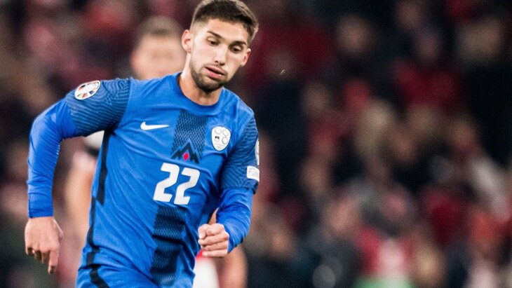 Сборная Словении