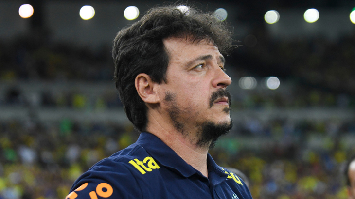 Фернандо Диниз