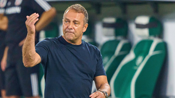 Ханс-Дитер Флик