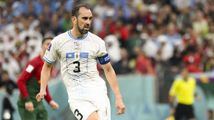 Диего Годин