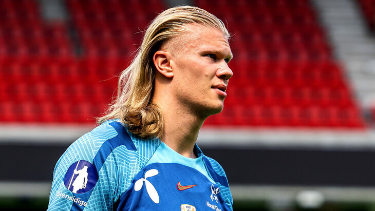 Эрлинг Холанн