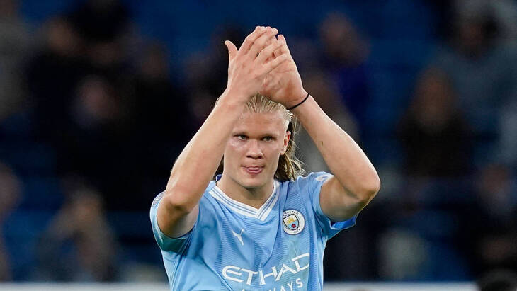 Эрлинг Холанн