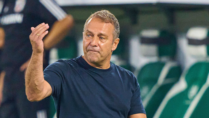 Ханс-Дитер Флик