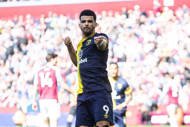 Доминик Соланке