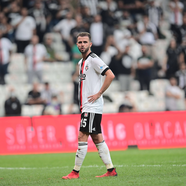 Миралем Пьянич