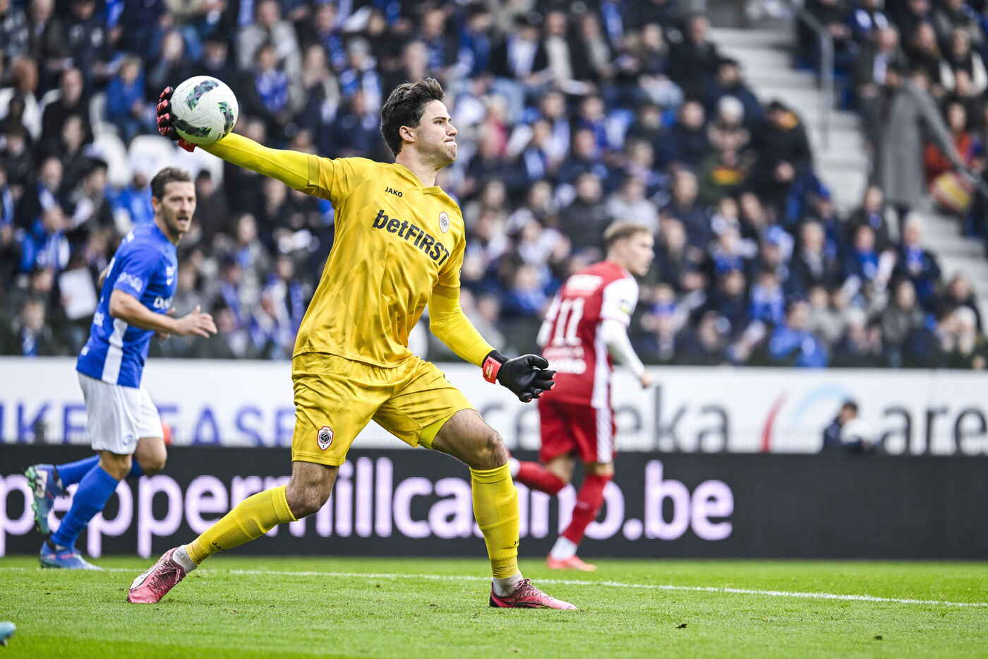 Сенни Ламменс