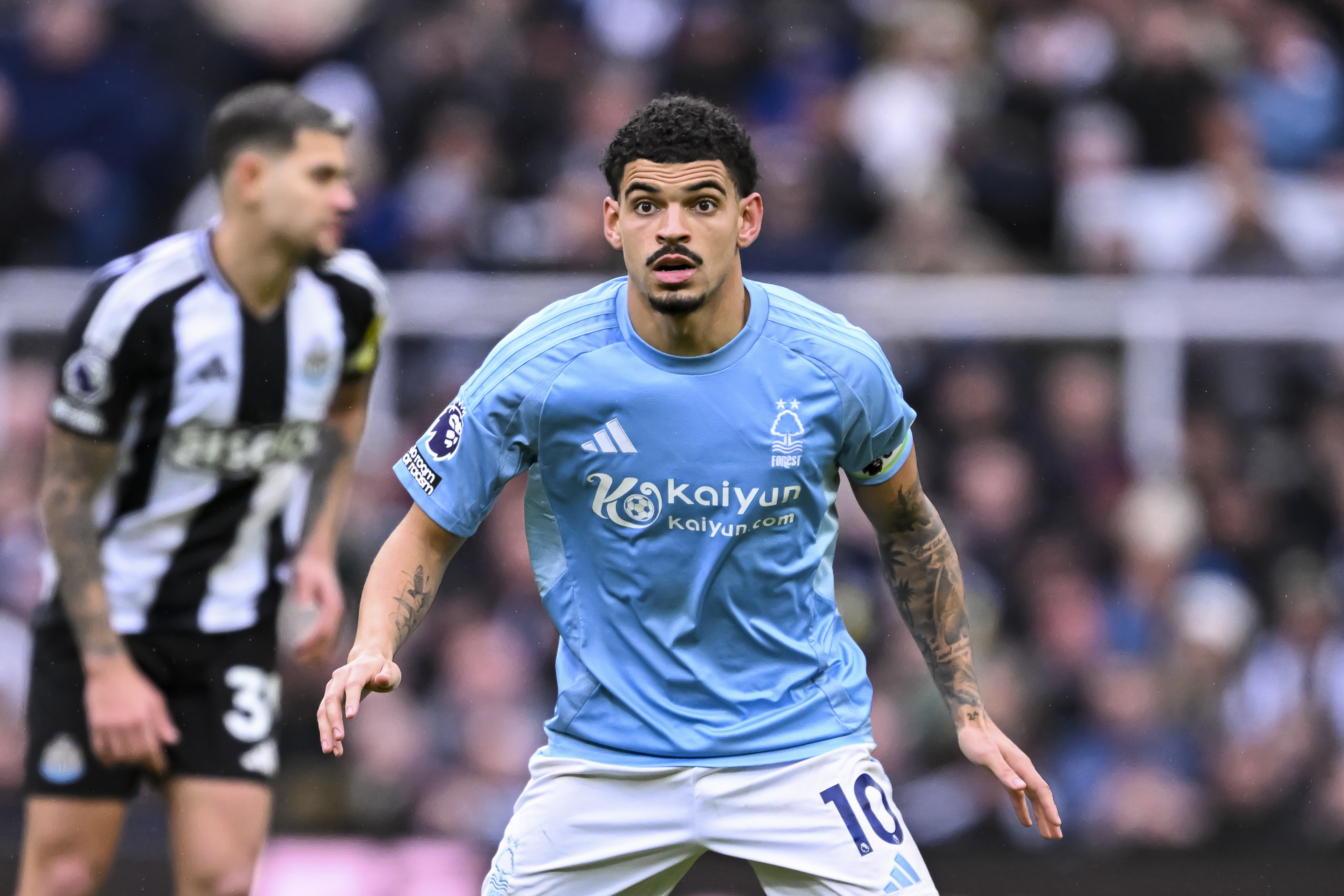 Морган Гиббс-Уайт