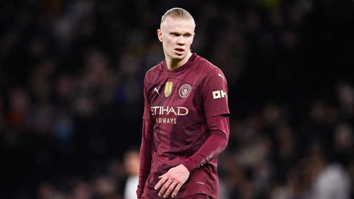 Эрлинг Холанн