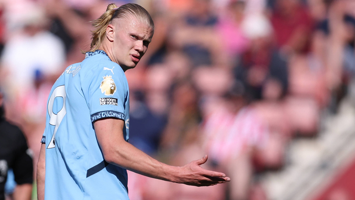 Эрлинг Холанн