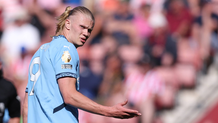 Эрлинг Холанн