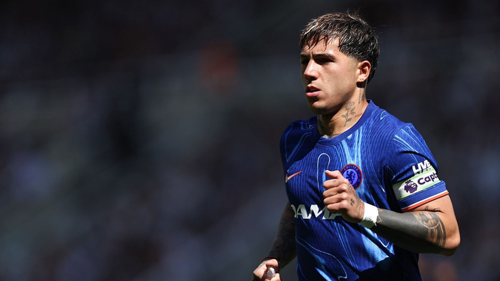 Энцо Фернандес