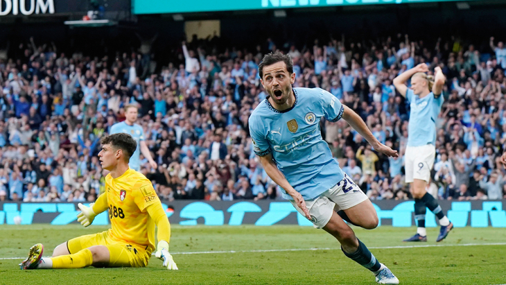 Бернарду Силва