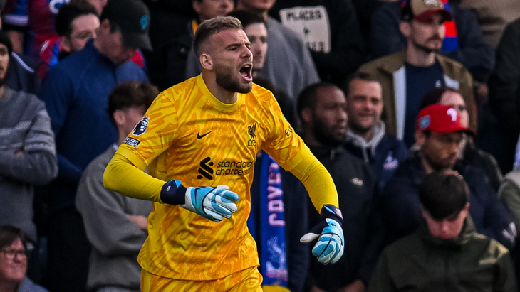 Витезслав Ярош