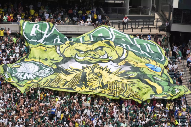 Фанаты Палмейрас