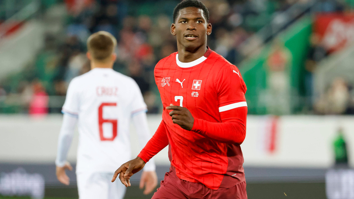 Бриль Эмболо