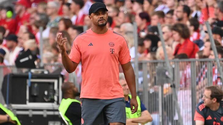 Венсан Компани