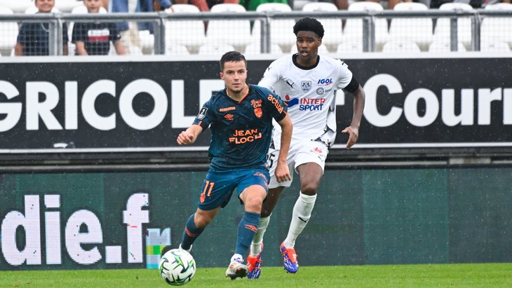 Тео Ле Брис