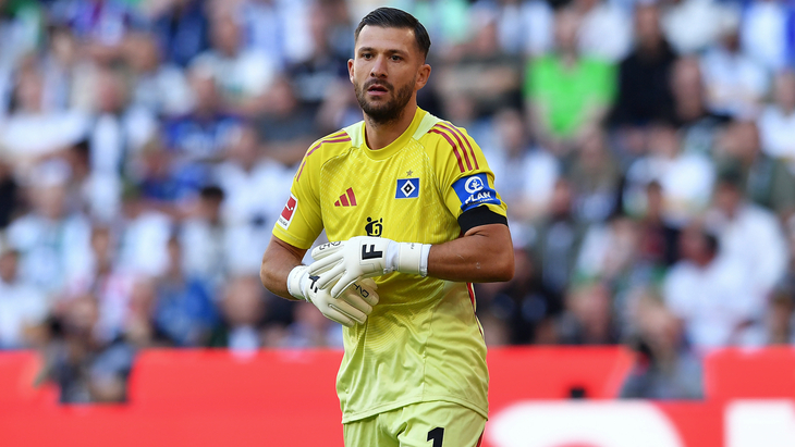 Даниэл Хойер Фернандеш