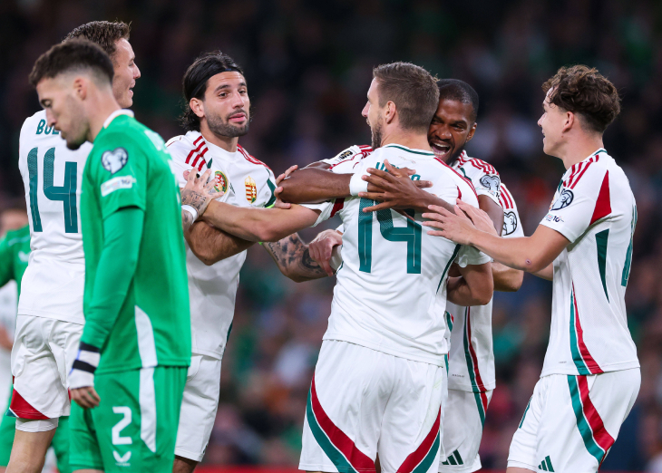 Венгры празднуют первый гол