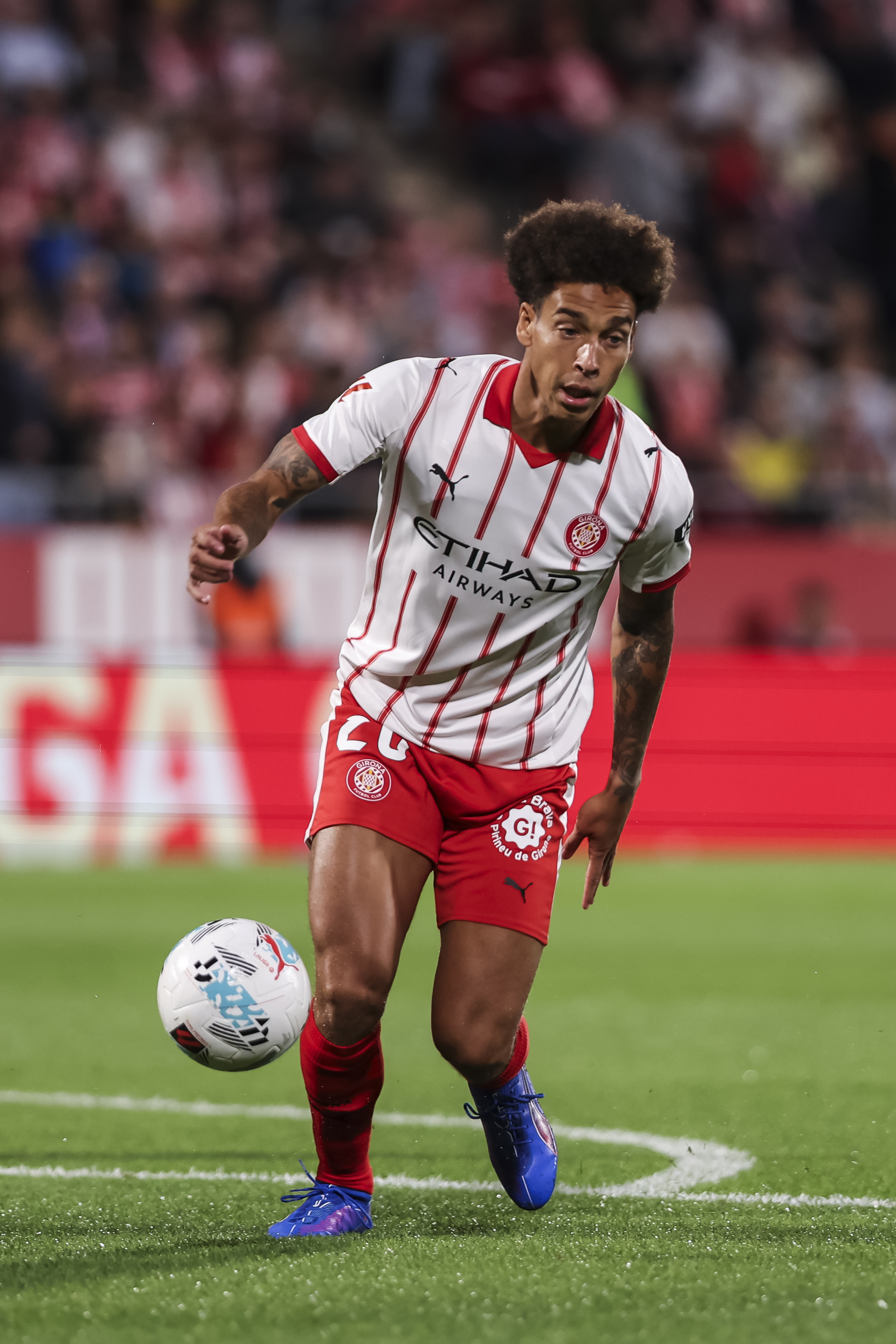 Аксель Витсель