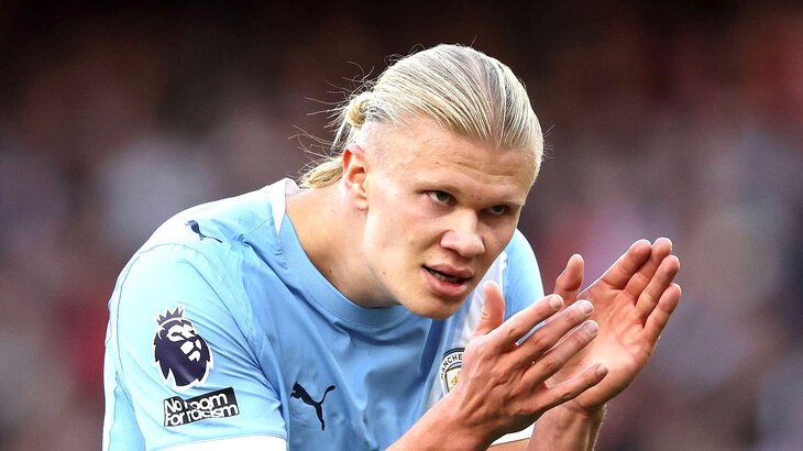 Эрлинг Холанн