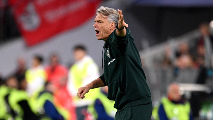 Хорст Штеффен