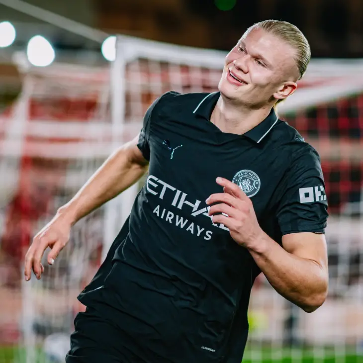 Эрлинг Холланн