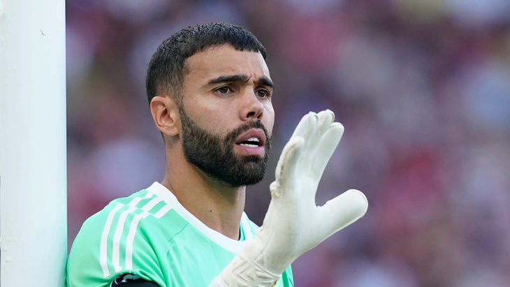 Давид Райя — голкипер «Арсенала»