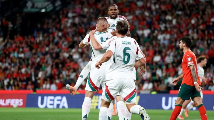 Игроки сборной Венгрии празднуют гол