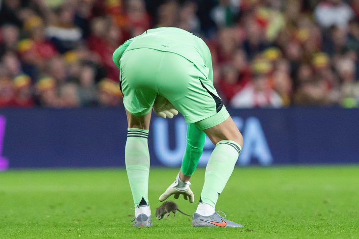 Тибо Куртуа пытается поднять крысу с газона