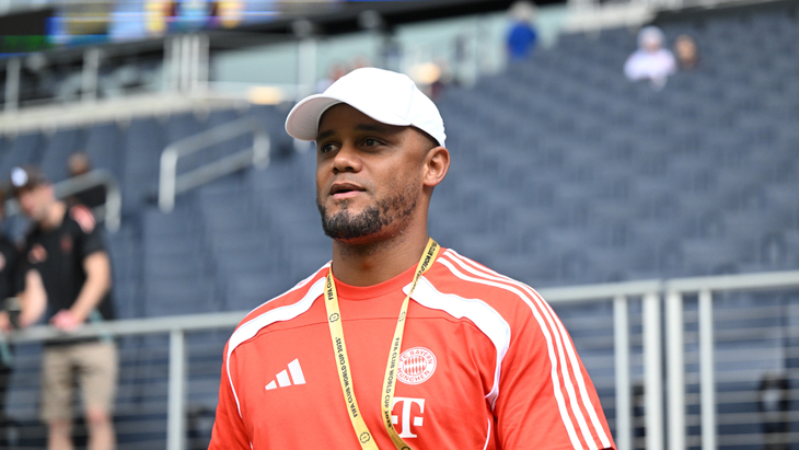 Венсан Компани