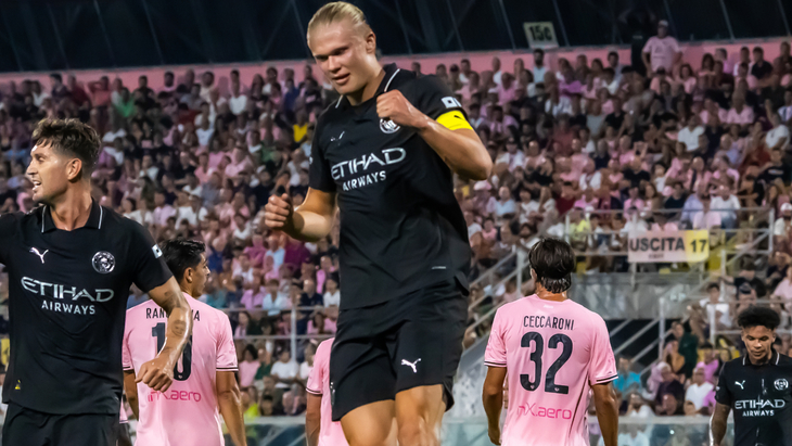 Эрлинг Холанн