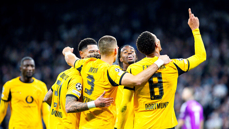 Игроки «Боруссии» празднуют гол