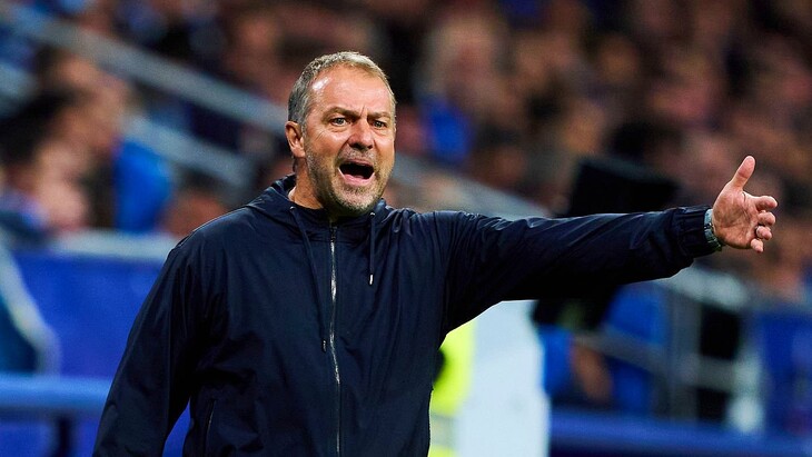 Ханс-Дитер Флик