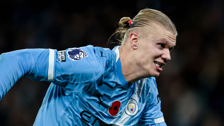 Эрлинг Холанн