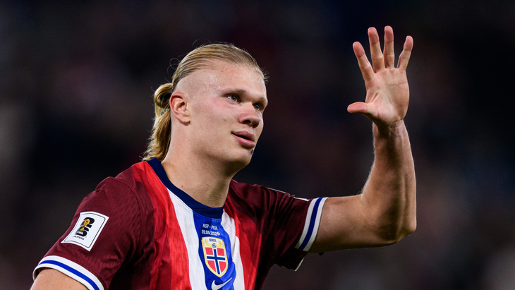 Эрлинг Холанн