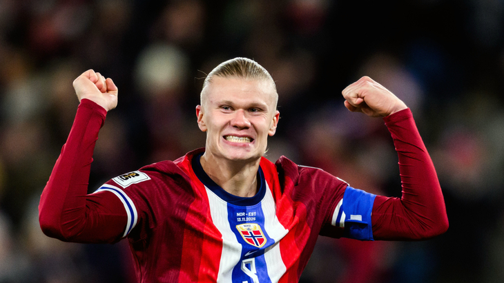 Эрлинг Холанн