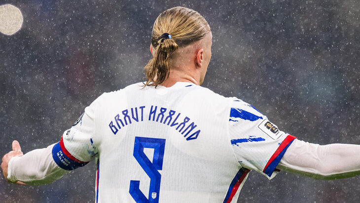 Эрлинг Холанн