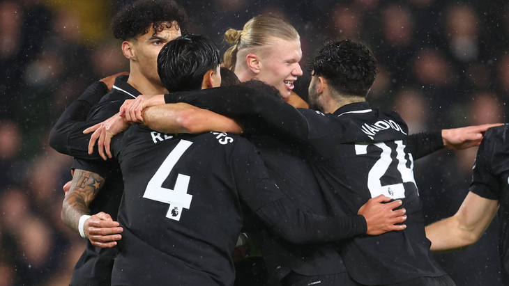 Эрлинг Холанн