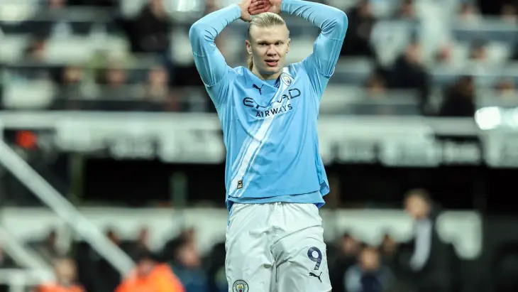 Эрлинг Холанн