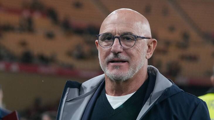 Луис де ла Фуэнте — тренер Испании