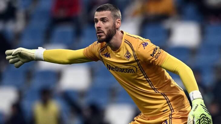 Давид де Хеа («Фиорентина»)